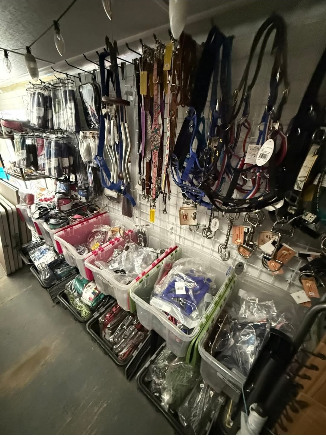 Business Opportunity Horse Tack Shop Horse Supplies Business Liquidation Buyout