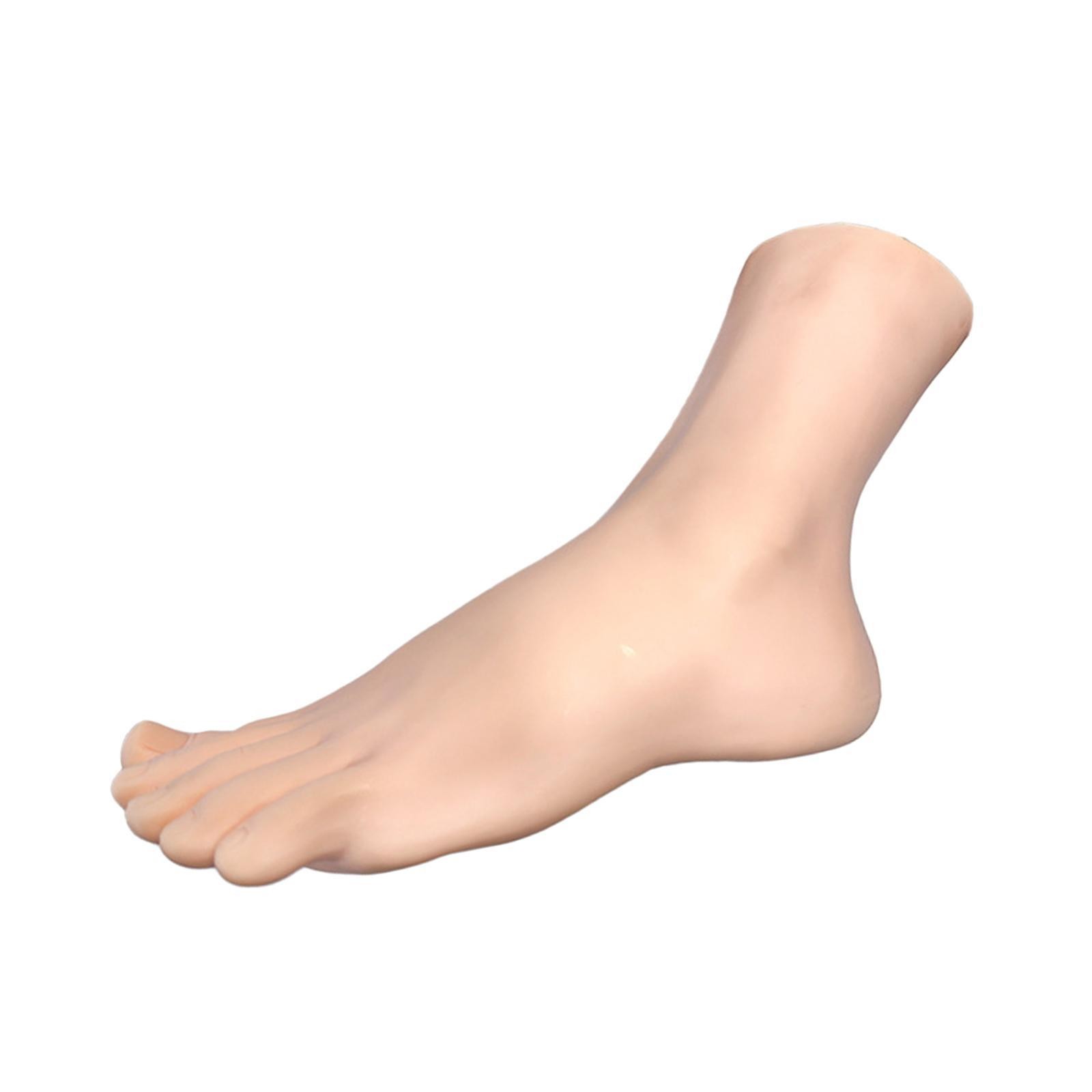 Female Foot Model Manikin Realistic Lifelike Left Sock Display Model for