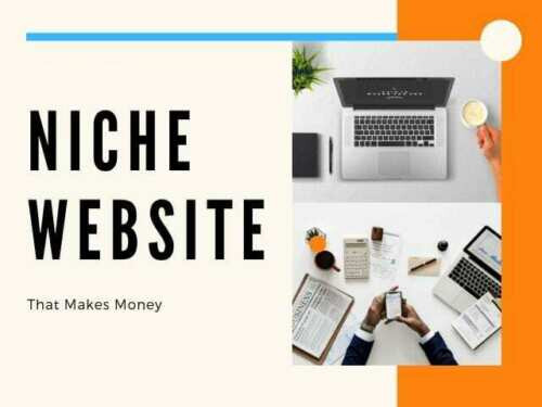 Successful Travel Tips Niche Site – Ready Made for Work From Home Business