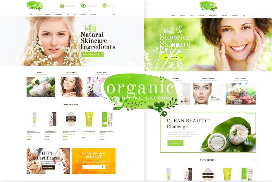 Stylish, Fresh and Powerful WordPress Theme – Organic Beauty