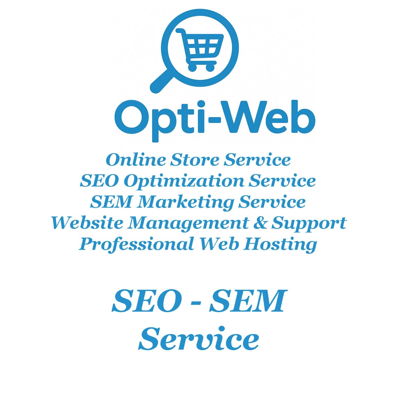 OPTIWEB Premium OnPage SEO – Full Homepage Optimization + Keyword Targeting