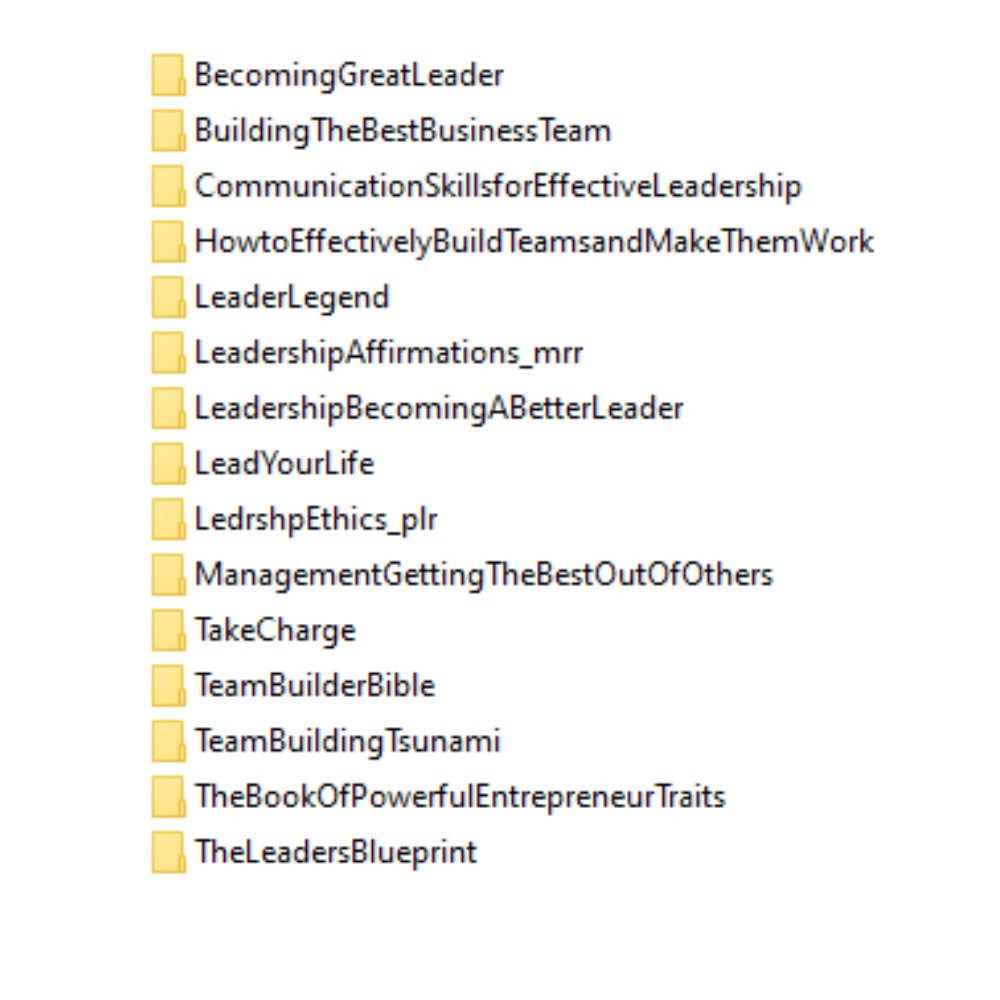 47 e-books & articles on leadership skills, in English with PLR and MRR license