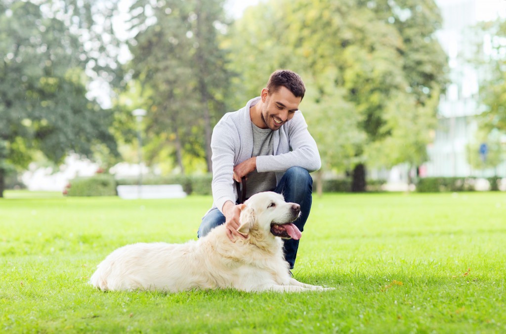 76K Validated emails of dog owners