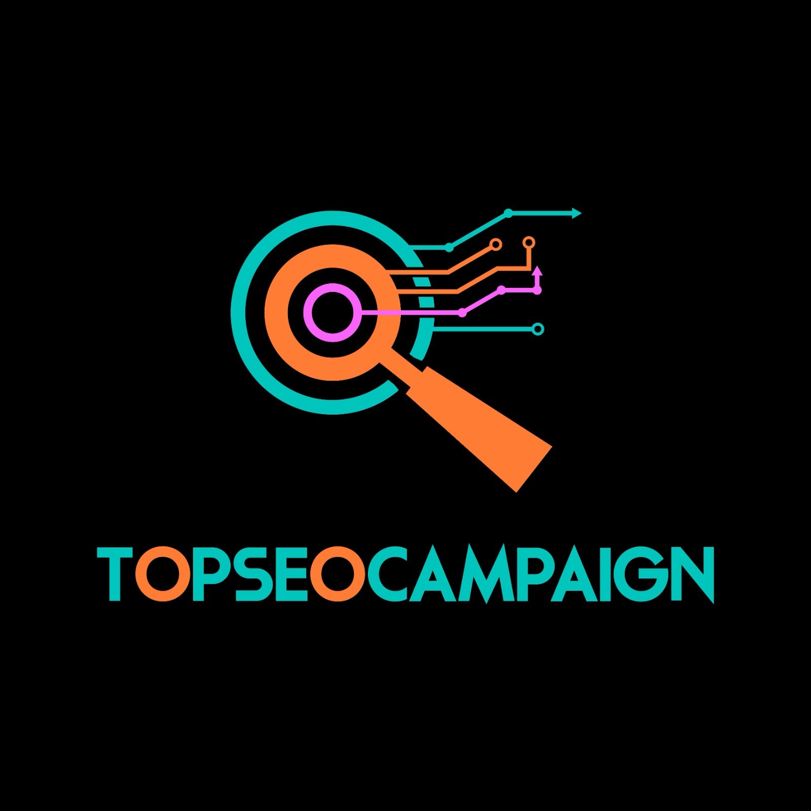 AI Ranker in ChatGPT and gemini with AEO , GEO and off page SEO backlinks