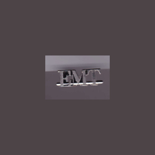 EMT lapel pin with butterfly clutch