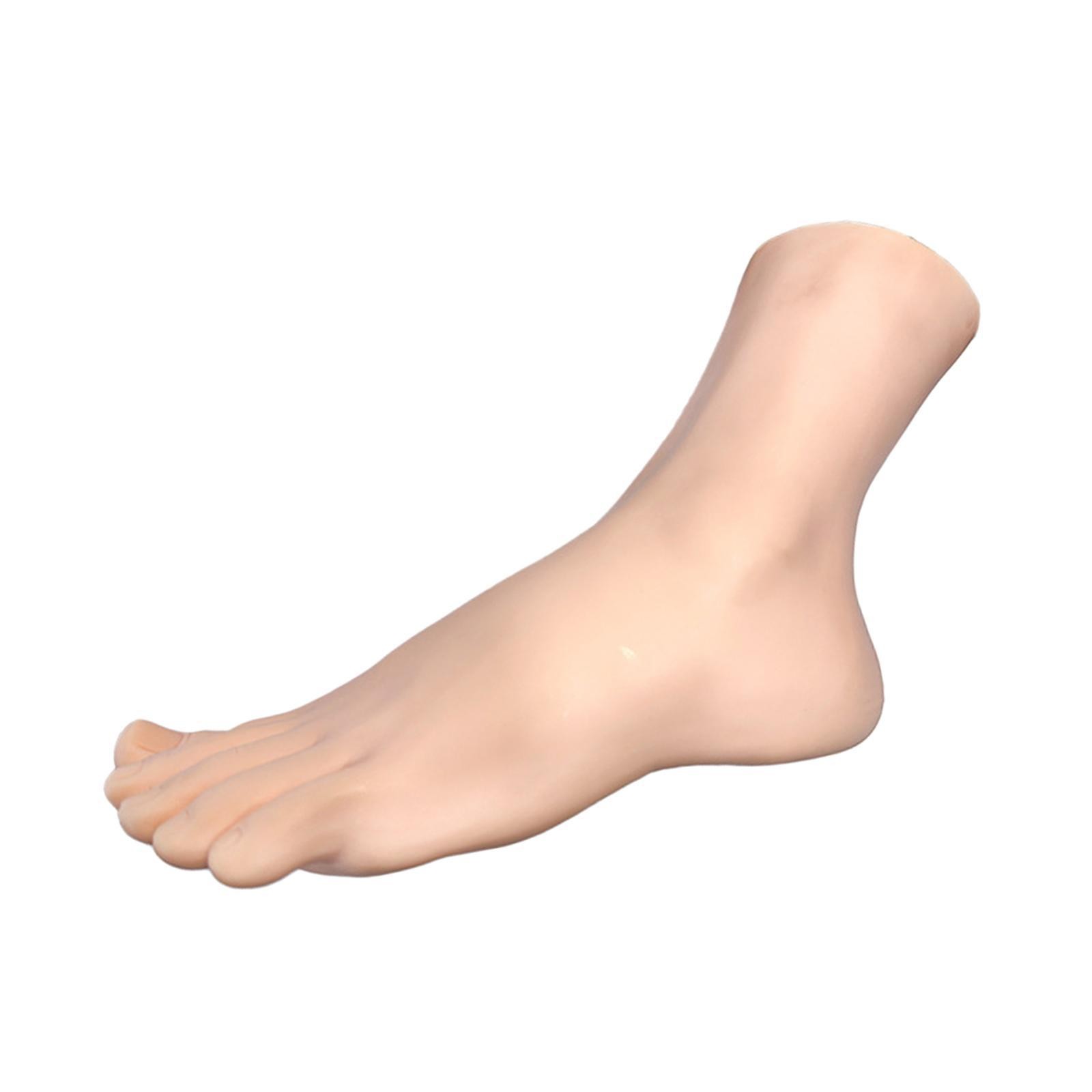 Female Foot Model Photo Prop Versatile Realistic Women’s Sock Display Stand