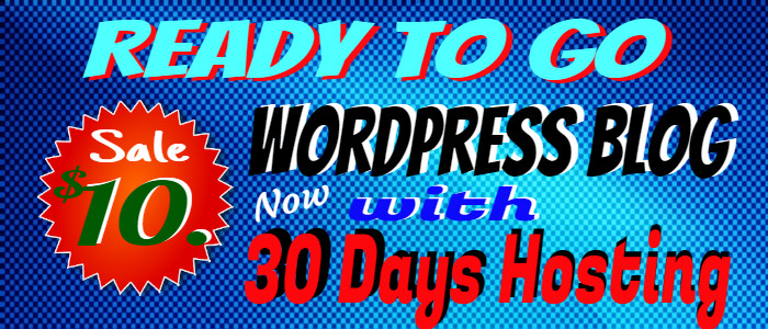 Camping Tips Ready Made Turnkey WordPress Blog Only or w/Hosting 1st/month $1.00