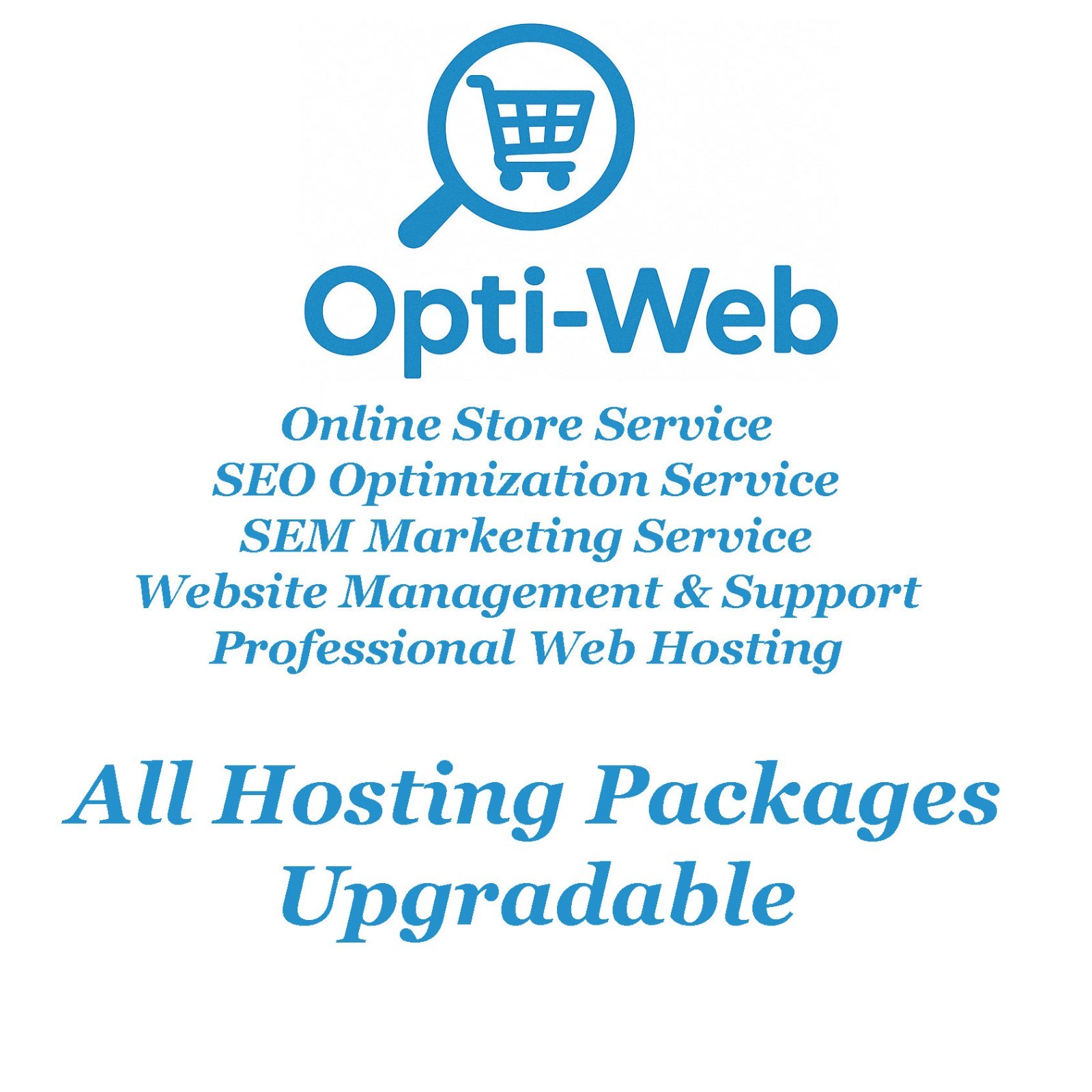 Premium SSD Web Hosting 5 GB – High-Speed German Servers – Only USD24/Year