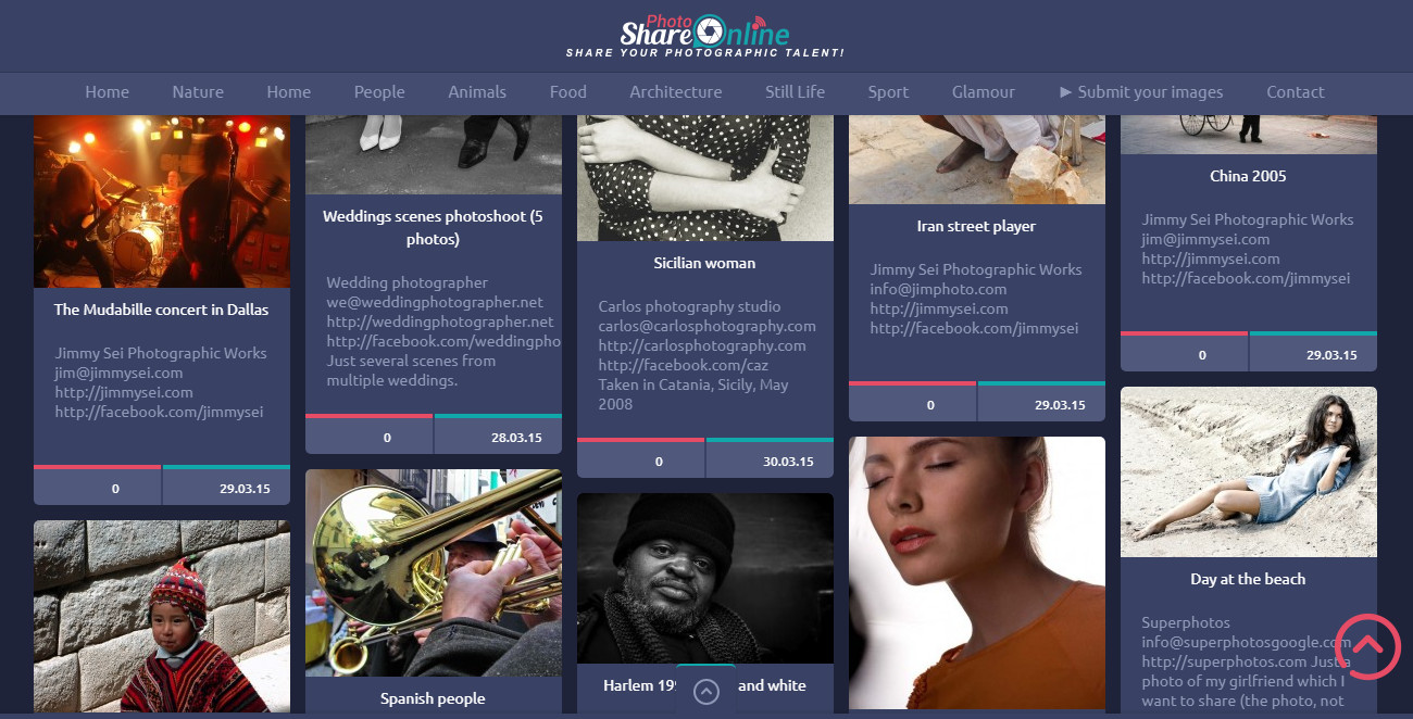 Profitable PHOTO Sharing & Showcase Membership Business Website For Sale