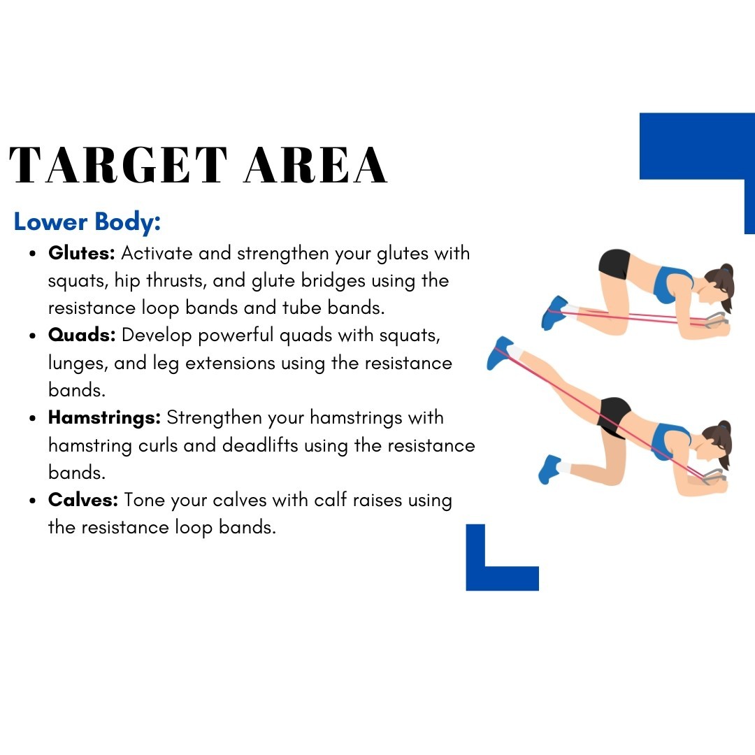300 Sets : Premium Resistance Bands set – Full Body Workout Kit, Wholesale price