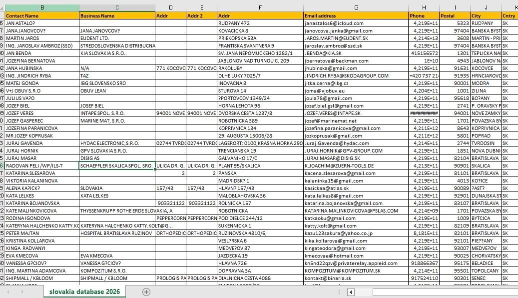 100k SLOVAKIA Email Database list 2026 | Contact Leads (Excel file)