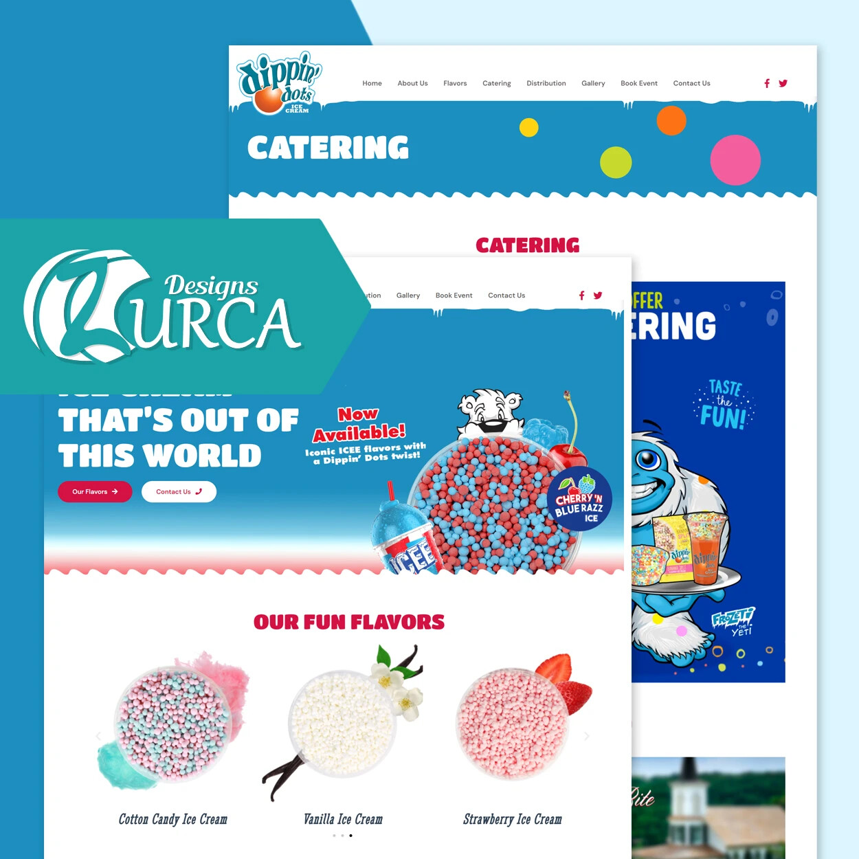 CUSTOM ECOMMERCE WEBSITE DESIGN PROFESSIONAL & MOBILE FRIENDLY