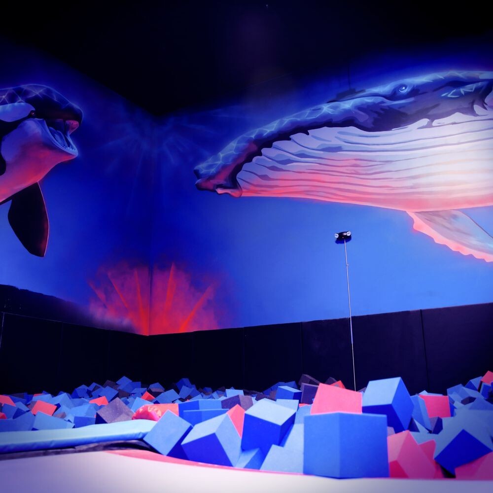 Turnkey Trampoline Park Equipment + Brand Package – $300,000 (Trailers optional)