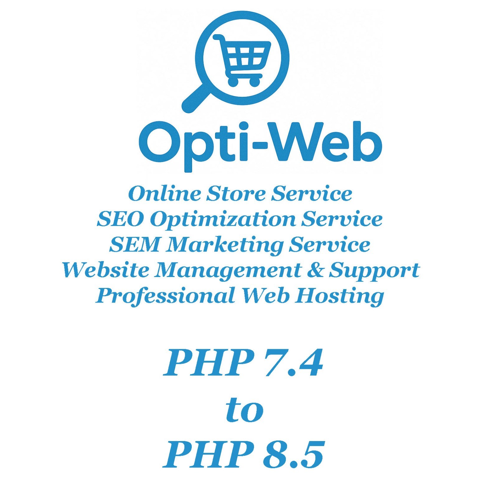 Premium SSD Web Hosting 5 GB – High-Speed German Servers – Only USD24/Year