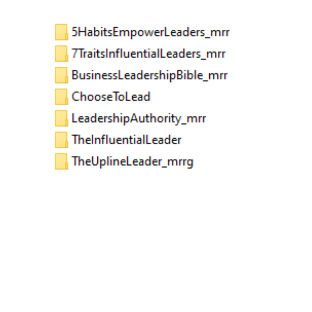 47 e-books & articles on leadership skills, in English with PLR and MRR license