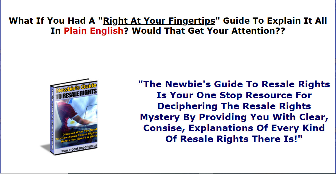 Newbies eBooks , Guides, Website Pages w/MRR License