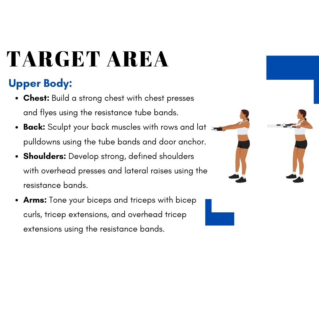 300 Sets : Premium Resistance Bands set – Full Body Workout Kit, Wholesale price