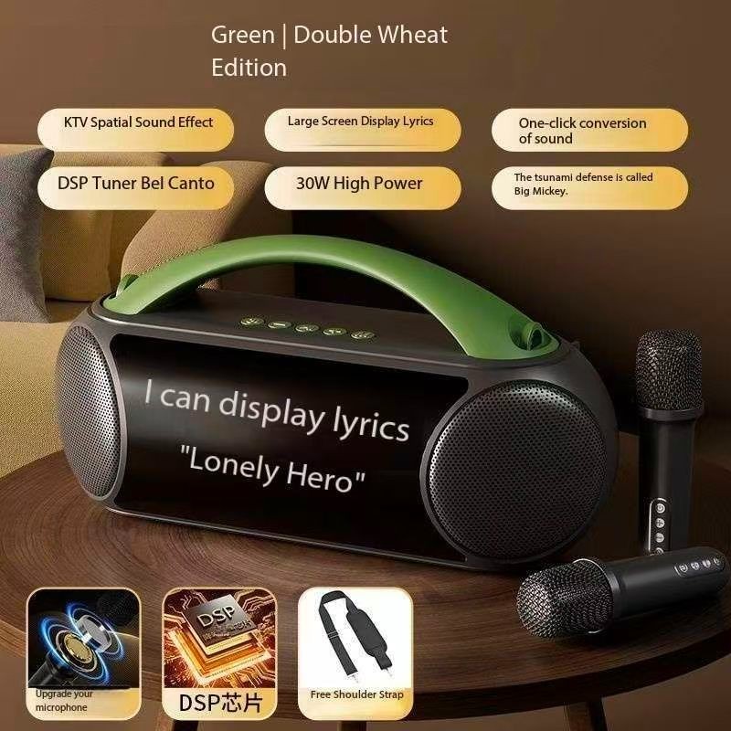 Wireless outdoor karaoke microphone and speaker with lyrics display all-in-one