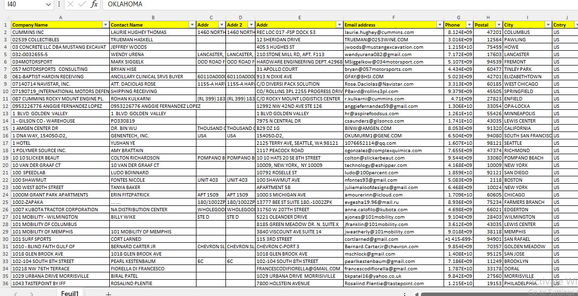 200K USA Business Email Database list | B2B Contact Leads (Digital Download)