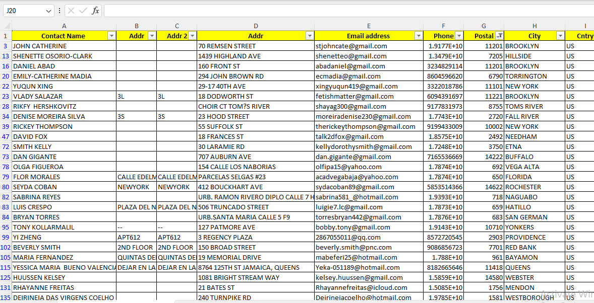 250K NEW YORK USA Customers Email Database B2C Contact Leads 2026 – Excel file