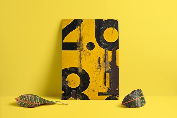 Creative Canvas