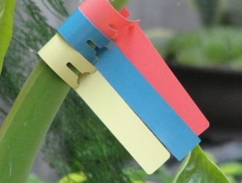 120PCS Wrap around tree tags 8″x3/4″ vinyl plastic nursery plant label #M1493 QL