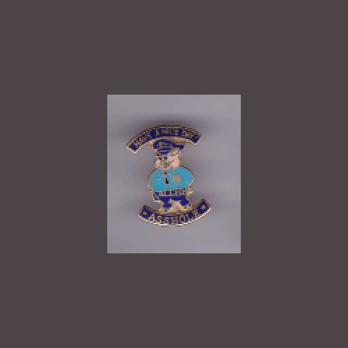 police Have A Nice Day AHole lapel pin with butterfly clutch