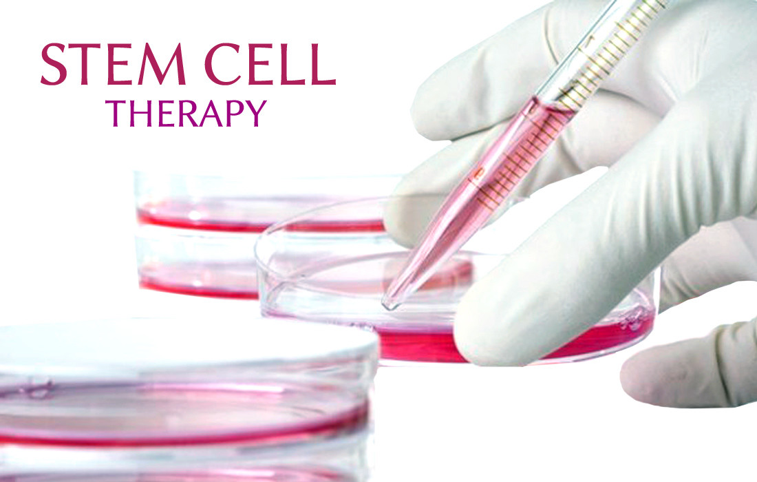Veterinary Stem Cell Therapy Premium Domains WWW.STEMVET.COM & WWW.STEMVET.NET