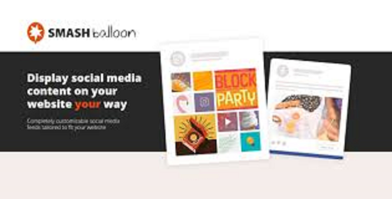 The Custom Facebook Feed Pro (+ All Extensions)