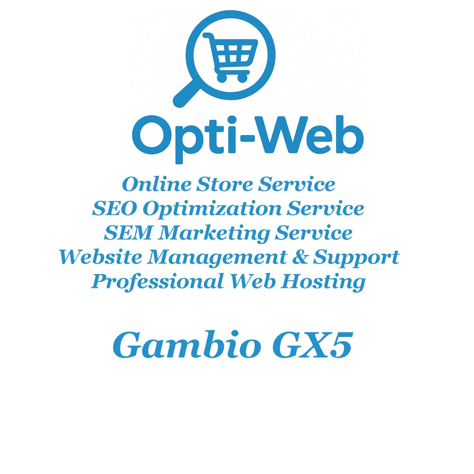Gambio GX5 Full Installation – Latest Generation of Store (Installation only)