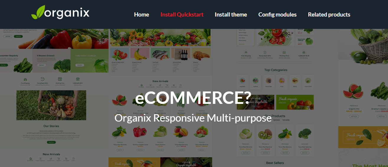 Premium PrestaShop 65 Responsive Themes Templates Full Sites Stores Complete